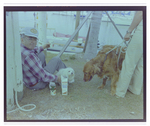 Man Snacks by the Water With Two Dogs at Burnt Store Marina Seafood Festival in Punta Gorda, Florida by Skip Gandy