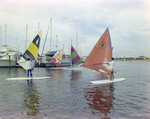 Four Windsurfers Sail at Burnt Store Marina Seafood Festival in Punta Gorda, Florida, B by Skip Gandy