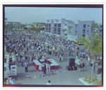 Crowds Browse Throughout Burnt Store Marina Seafood Festival in Punta Gorda, Florida, A by Skip Gandy