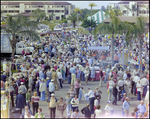 Crowds Browse Throughout Burnt Store Marina Seafood Festival in Punta Gorda, Florida, C by Skip Gandy