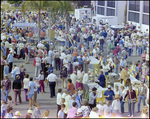 Crowds Browse Throughout Burnt Store Marina Seafood Festival in Punta Gorda, Florida, D by Skip Gandy