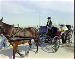 Horse Drawn Carriage at Burnt Store Marina Seafood Festival in Punta Gorda, Florida, D by Skip Gandy