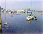 Boats Pass Small Flock of Brown Pelicans at Burnt Store Marina Seafood Festival in Punta Gorda, Florida by Skip Gandy