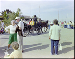 Horse Drawn Carriage at Burnt Store Marina Seafood Festival in Punta Gorda, Florida, F by Skip Gandy