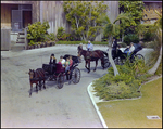 Horse Drawn Carriage at Burnt Store Marina Seafood Festival in Punta Gorda, Florida, G by Skip Gandy