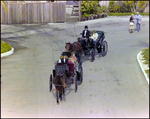 Horse Drawn Carriage at Burnt Store Marina Seafood Festival in Punta Gorda, Florida, H by Skip Gandy