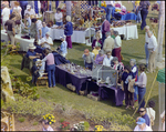 Crowds Browse Throughout Burnt Store Marina Seafood Festival in Punta Gorda, Florida, AA by Skip Gandy