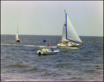 Aquasport, Anchored in the Water As Sailboats Pass by, Burnt Store Marina Seafood Festival in Punta Gorda, Florida, C by Skip Gandy