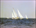 Sailboat Passengers Chat Between Boats at Burnt Store Marina Seafood Festival in Punta Gorda, Florida by Skip Gandy