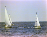 Boats Sail Through Marina at Burnt Store Marina Seafood Festival in Punta Gorda, Florida, B by Skip Gandy