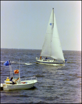 Aquasport, Anchored in the Water As Sailboats Pass by, Burnt Store Marina Seafood Festival in Punta Gorda, Florida, J by Skip Gandy