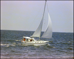 Straight Ahead Sails Through Bay During Burnt Store Marina Seafood Festival in Punta Gorda, Florida, A by Skip Gandy