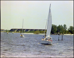 Straight Ahead Sails Through Bay During Burnt Store Marina Seafood Festival in Punta Gorda, Florida, C by Skip Gandy