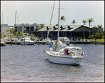 Sailboat, Straight Ahead, Near Boats in Marina, Burnt Store Marina Seafood Festival, Punta Gorda, Florida, A by Skip Gandy