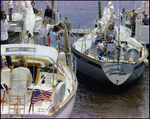 Sailboat, Paramour, Pulling up to Dock in Marina, Burnt Store Marina Seafood Festival, Punta Gorda, Florida by Skip Gandy