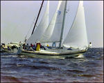 Several Sailboats Sailing Through the Marina, Burnt Store Marina Seafood Festival, Punta Gorda, Florida, C by Skip Gandy