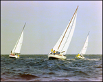 Several Sailboats Sailing Through the Marina, Burnt Store Marina Seafood Festival, Punta Gorda, Florida, I by Skip Gandy