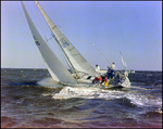 Sailboat, Paramour, Sharply Turning Left at Burnt Store Marina Seafood Festival, Punta Gorda, Florida, B by Skip Gandy