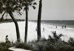 Visitors Strolling Along a Beach, Tampa, Florida by George Skip Gandy IV