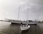 Sailing Ship Named Free Enterprise, Tampa, Florida by George Skip Gandy IV