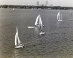 Group of Sailboats Passing Through Ybor Channel, Tampa, Florida, D by George Skip Gandy IV