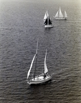 Group of Sailboats Passing Through Ybor Channel, Tampa, Florida, E by George Skip Gandy IV