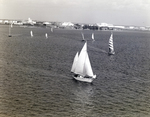 Group of Sailboats Passing Through Ybor Channel, Tampa, Florida, F by George Skip Gandy IV