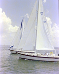 Two Sailboats off the Coast of Tampa, Florida, A by George Skip Gandy IV