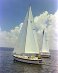 Two Sailboats off the Coast of Tampa, Florida, B by George Skip Gandy IV