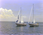 Two Sailboats off the Coast of Tampa, Florida, G by George Skip Gandy IV