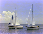 Two Sailboats off the Coast of Tampa, Florida, K by George Skip Gandy IV