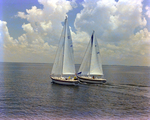 Two Sailboats off the Coast of Tampa, Florida, N by George Skip Gandy IV