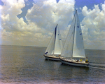 Two Sailboats off the Coast of Tampa, Florida, O by George Skip Gandy IV