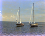 Two Sailboats off the Coast of Tampa, Florida, S by George Skip Gandy IV