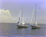 Two Sailboats off the Coast of Tampa, Florida, U by George Skip Gandy IV