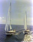 Two Sailboats off the Coast of Tampa, Florida, DD by George Skip Gandy IV