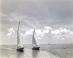 Two Sailboats off the Coast of Tampa, Florida, MM by George Skip Gandy IV