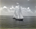 Two Sailboats off the Coast of Tampa, Florida, SS by George Skip Gandy IV