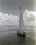 Sailboat, So Rare, Sailing off the Coast of Tampa, Florida by George Skip Gandy IV