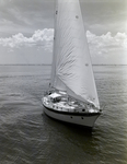 Sailboat Sailing off the Coast of Tampa, Florida by George Skip Gandy IV