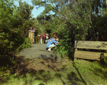 Bog Bridge Restoration by George Skip Gandy IV