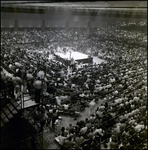 Crowd Watching Fight in Wrestling Ring, Tampa, Florida, B by George Skip Gandy IV