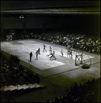 Harlem Globetrotters Basketball Match, Tampa, Florida, B by George Skip Gandy IV