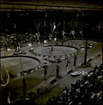 Barnum and Bailey Trapeze Act, Tampa, Florida, B by George Skip Gandy IV