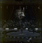 Woman Hanging from Trapeze, Tampa, Florida by George Skip Gandy IV