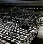 Seats Being Filled at Curtis Hixon Hall, Tampa, Florida, B by George Skip Gandy IV