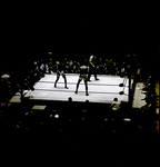 Men Circling Each Other in a Boxing Ring, Tampa, Florida, C by George Skip Gandy IV