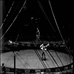 Barnum and Bailey Performers, Tampa, Florida, A by George Skip Gandy IV