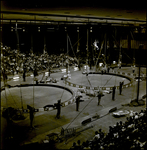 Barnum and Bailey Acrobats Performing, Tampa, Florida, B by George Skip Gandy IV