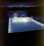 Women Ice Skating in a Row, Tampa, Florida, A by George Skip Gandy IV